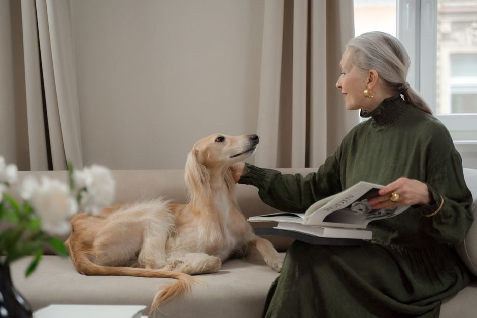 Chien paisible dans un salon calme