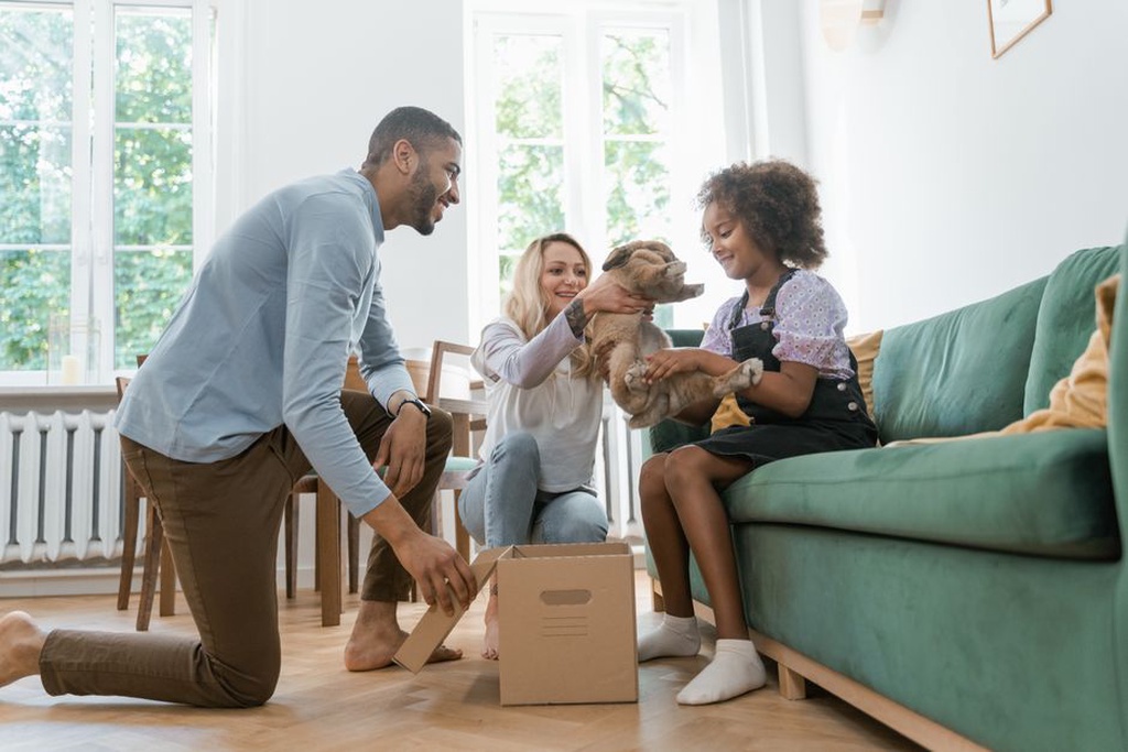 Chien adulte s'adaptant à son nouveau foyer