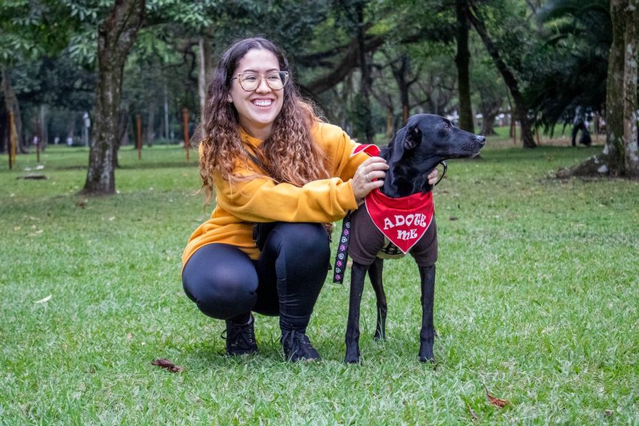 Un chien adulte découvre son futur compagnon de promenade