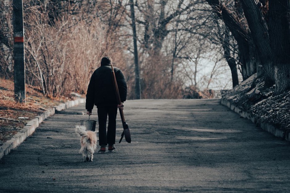 Un chien garde ses distances dans une rue calme