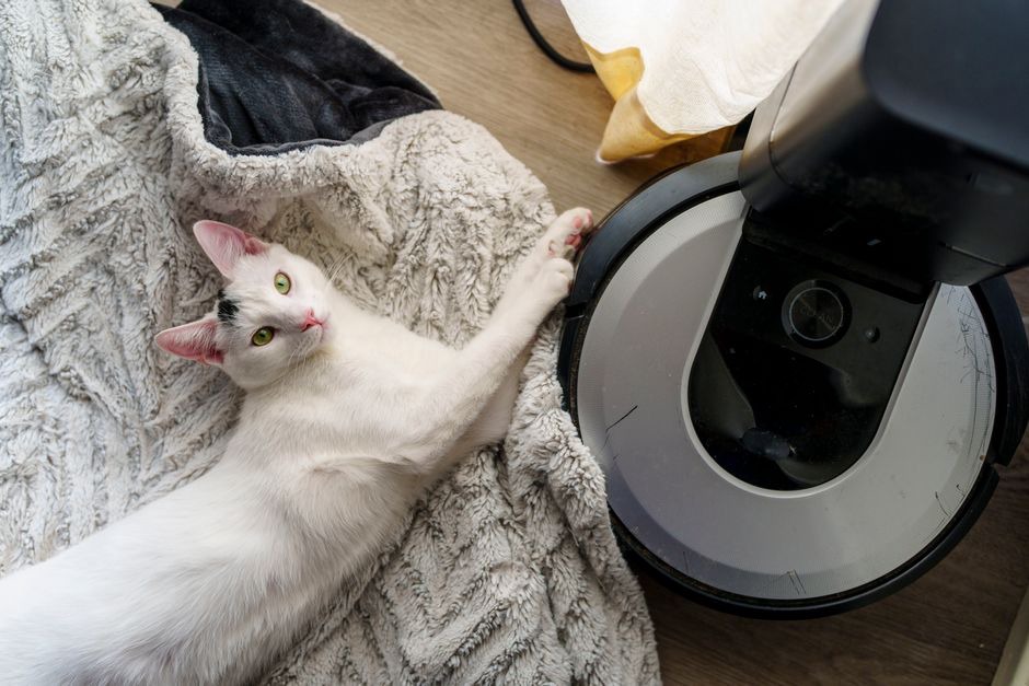 Un couchage lavable débarrassé des poils