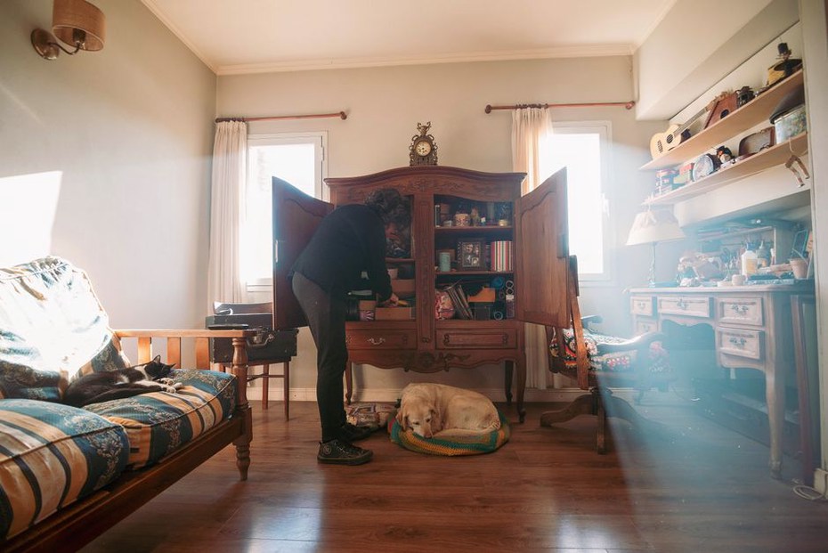 Le chat se repose en hauteur tandis que le chien reste au sol