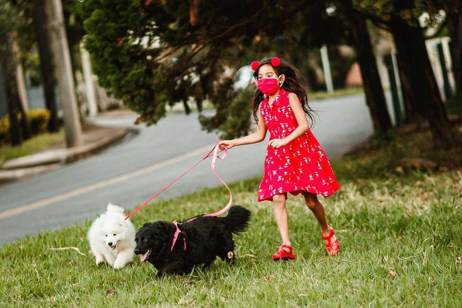 Une enfant observe un chien à distance respectueuse