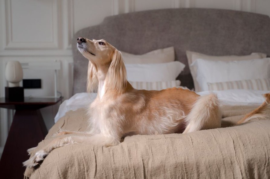 Un couchage propre et bien sec pour le repos