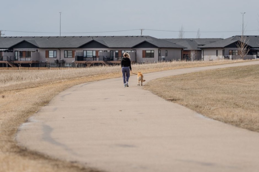 Une promenade matinale au rythme du chien