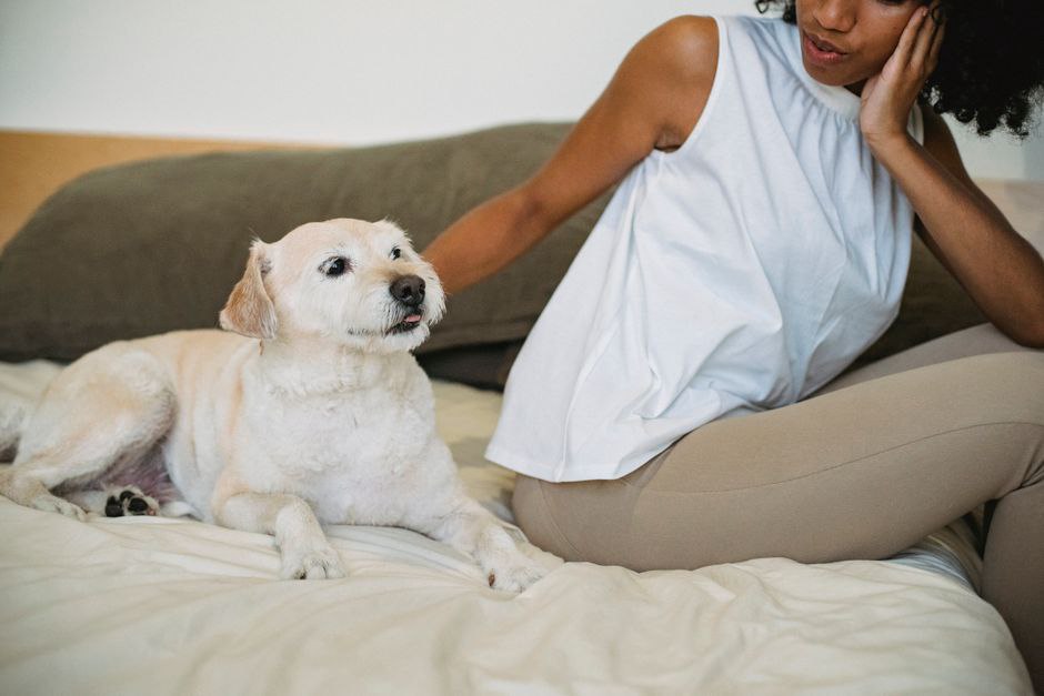 Un chien repose près de sa personne