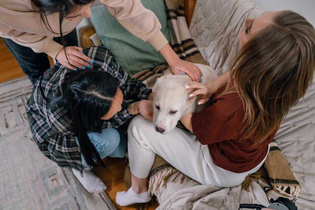 Une famille partage un moment de réconfort