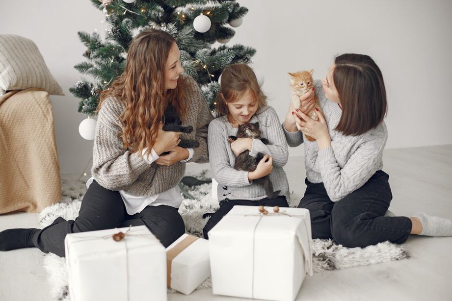 Une famille laisse un chat explorer à son rythme