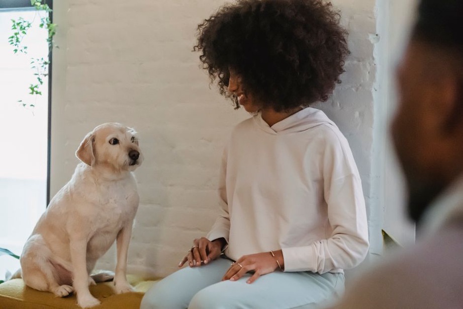 Une présence calme qui laisse le chien venir