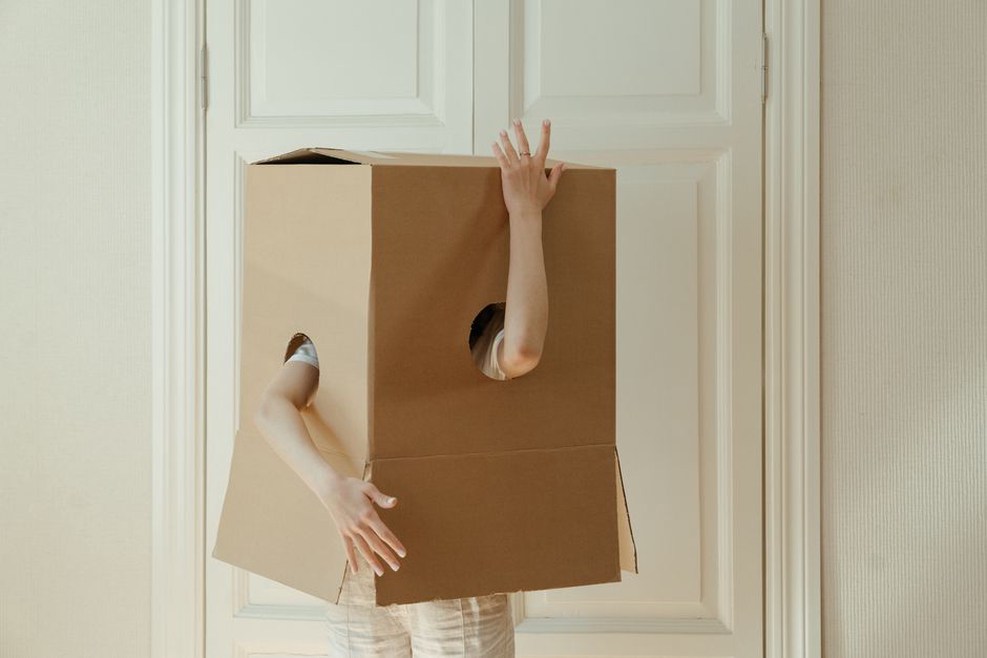 chien observant une boîte en carton pendant un jeu de recherche olfactive dans le salon