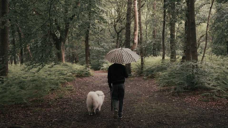 Sous les arbres, une balade à l’écart de la chaleur