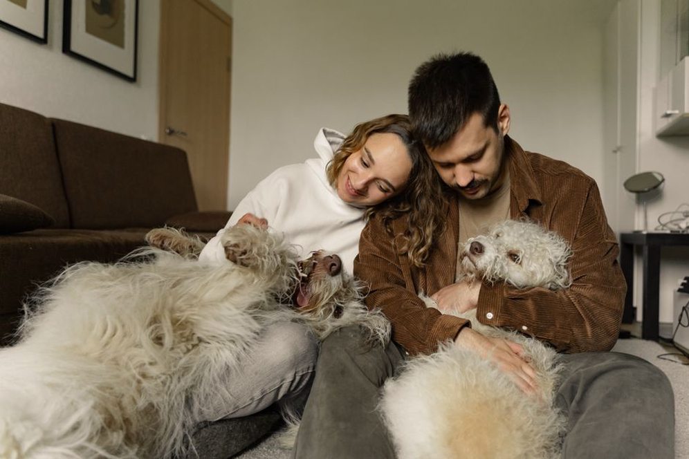Une famille avec leurs animaux à la maison