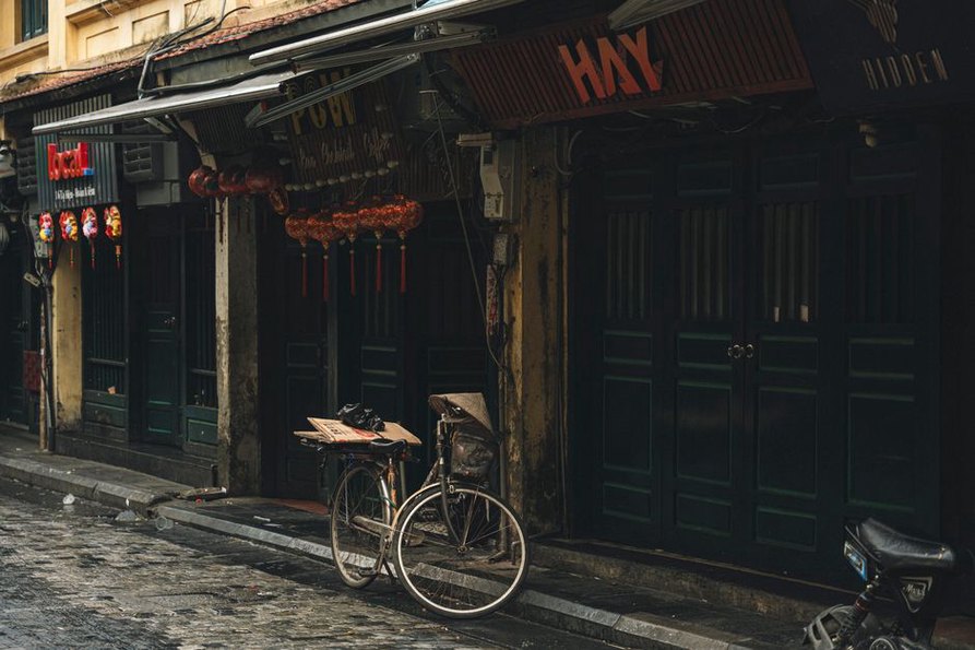 À distance, le chiot regarde passer un vélo
