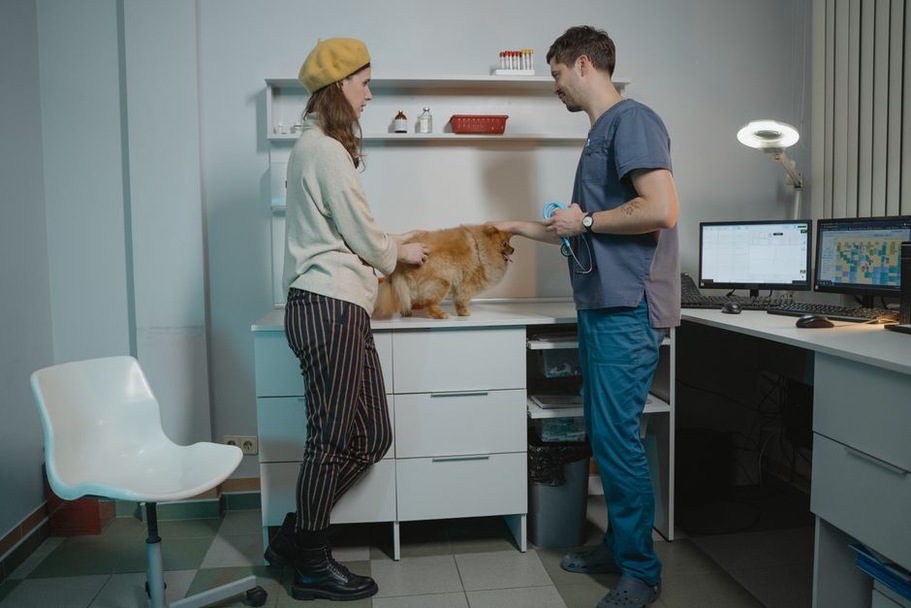 Clinique vétérinaire moderne avec propriétaires d'animaux