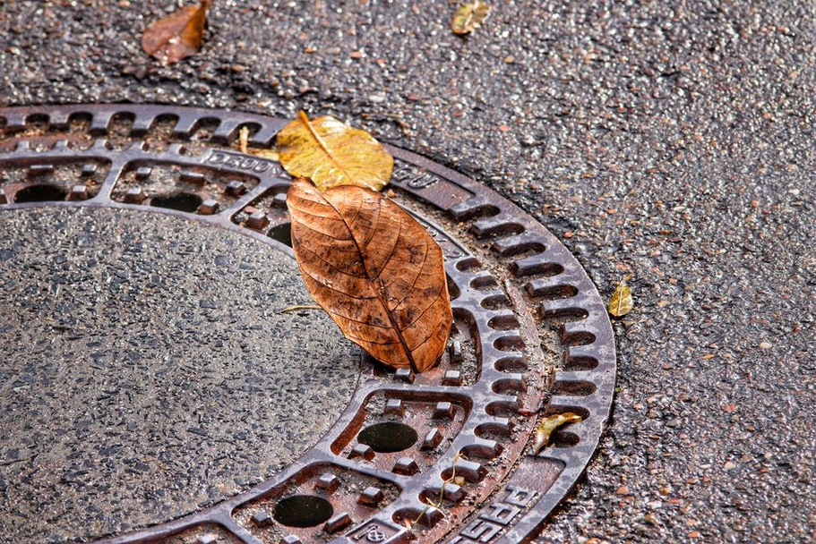 Des feuilles à retirer devant une évacuation d’eau