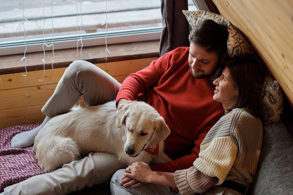 Un chien se repose près de sa famille