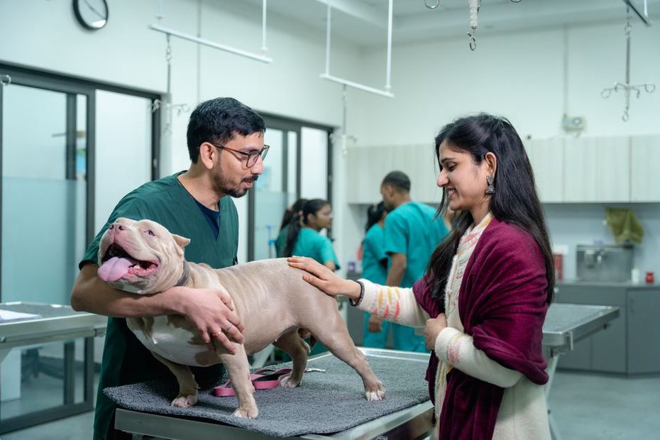 Un échange précise les habitudes du chien
