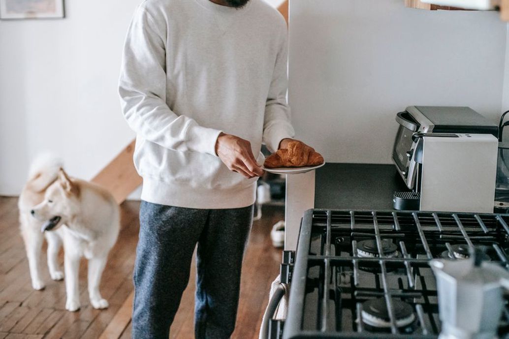 Un chien se repose pendant le petit-déjeuner