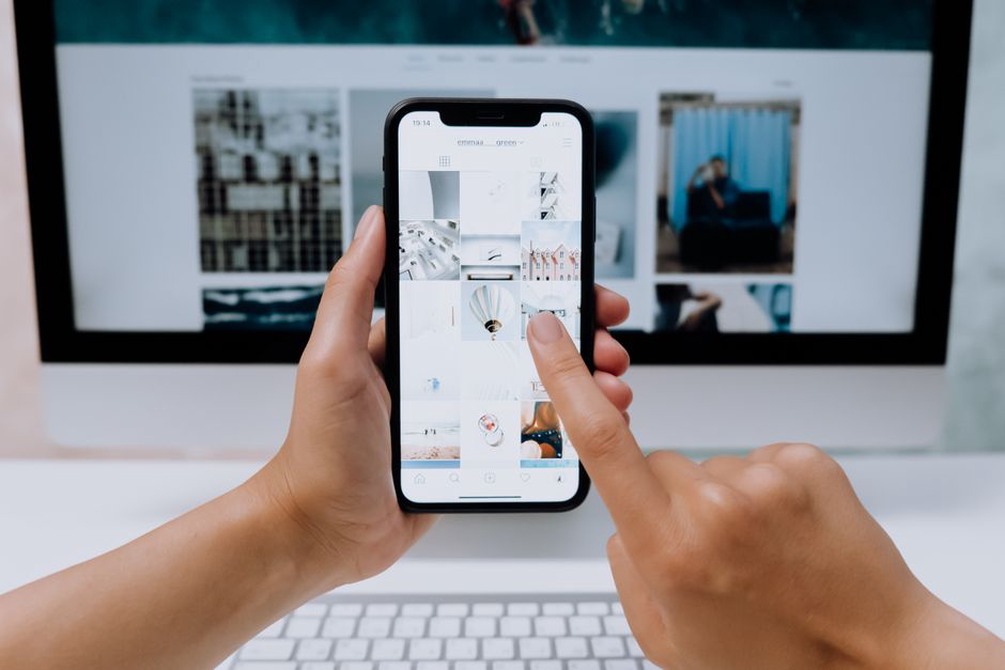 Une fiche d’adoption consultée sur téléphone