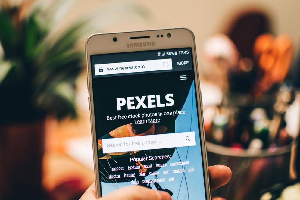 Une fiche d’adoption lisible sur téléphone