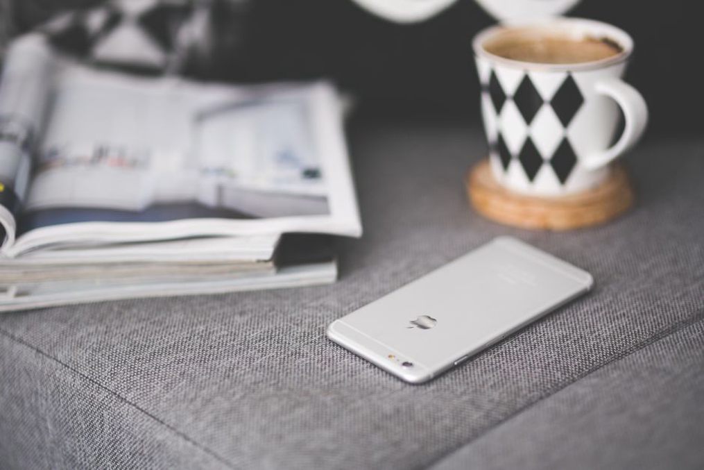 Lecture d’un article animalier sur téléphone