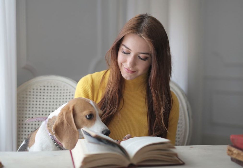 Un livre ouvert près d’un chien au repos