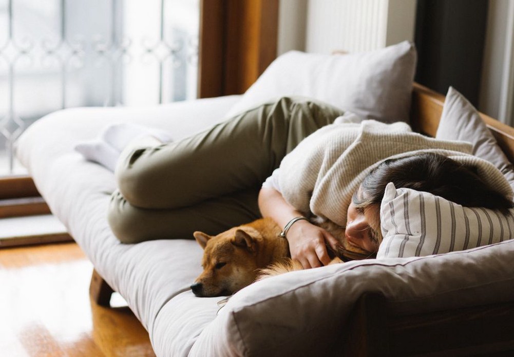 Lecture sur le canapé près d’un chien endormi