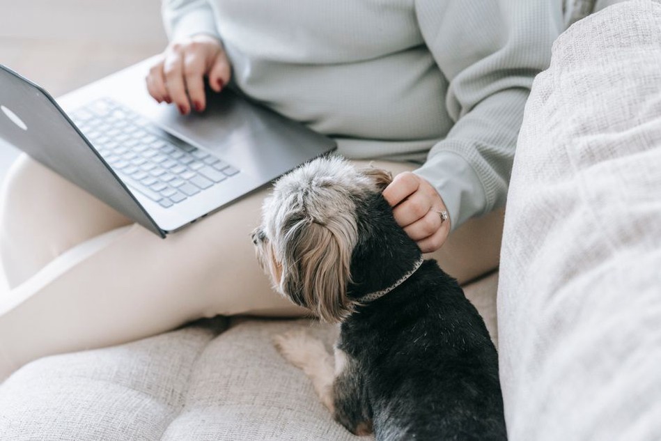 Une lectrice parcourt des conseils sur les animaux