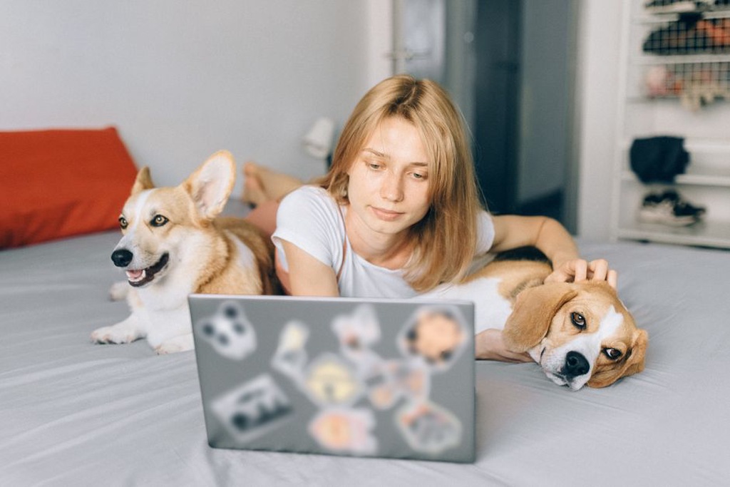 Une lectrice consulte ses messages près de son chien