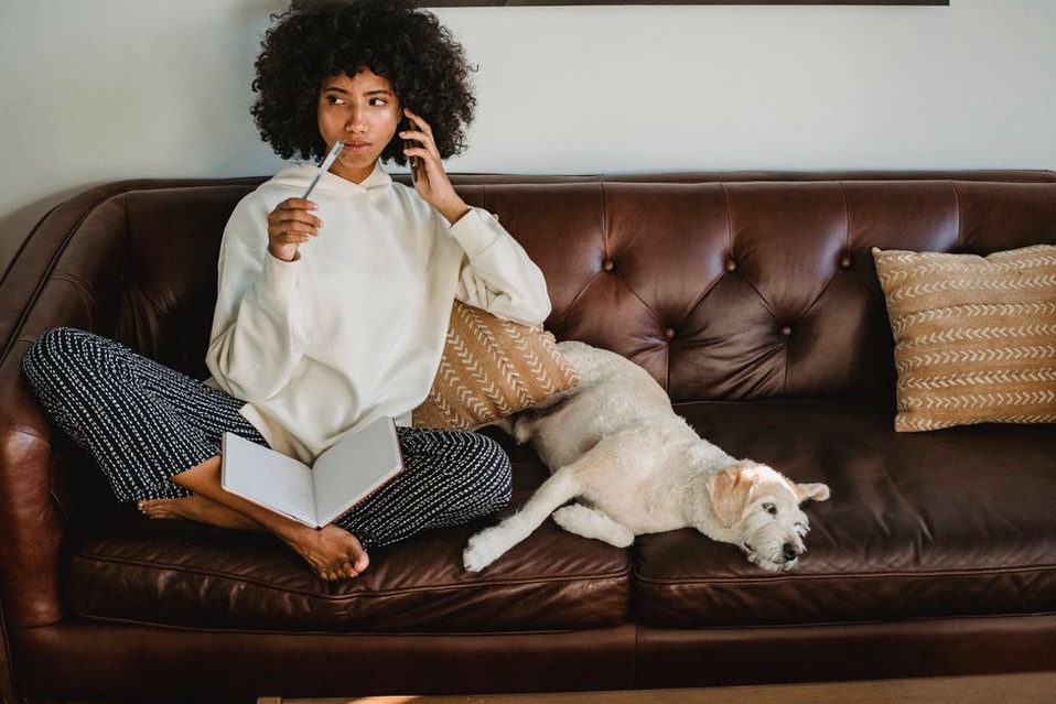 Quelques observations notées près d’un chien au repos