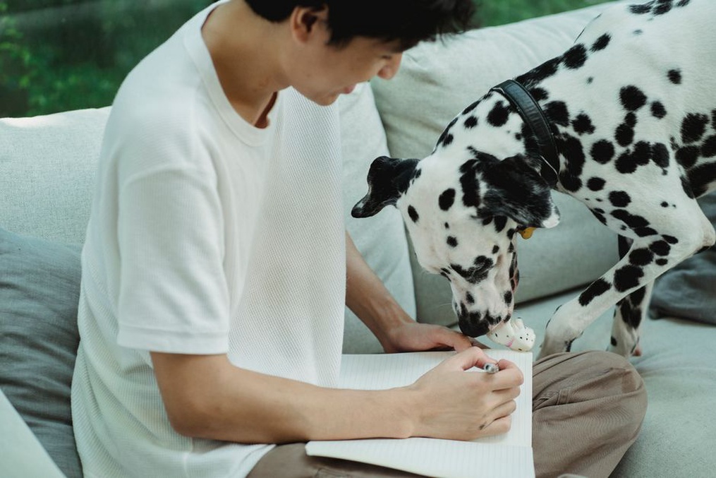Des notes prises près d’un chien au repos