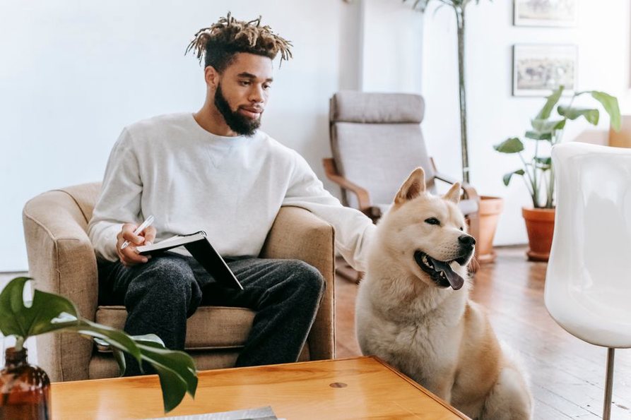 Un calendrier rempli près du couchage du chien