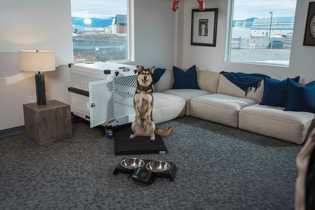 Une professionnelle accueille un chien dans un salon calme