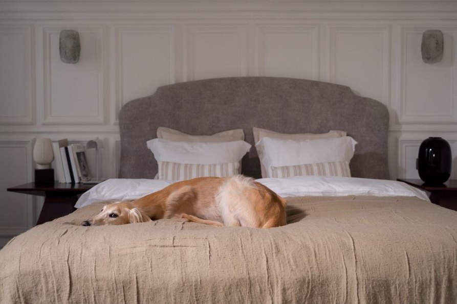 Espace de repos préparé pour accueillir un chien