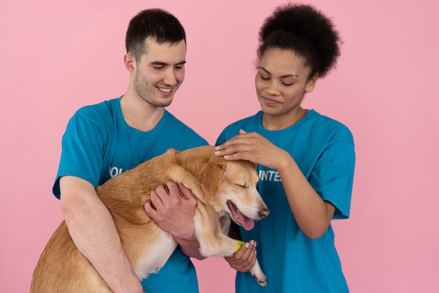 Une famille échange avec une bénévole près d’un chien calme